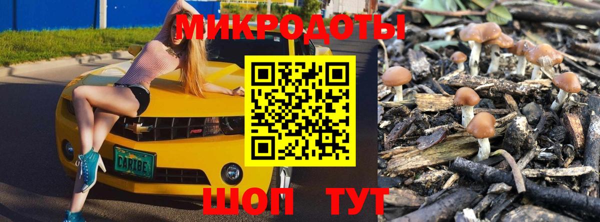 Искитим  Галлюциногенные грибы Cubensis  Вход с VPN  Галлюциногенные грибы мицелий 